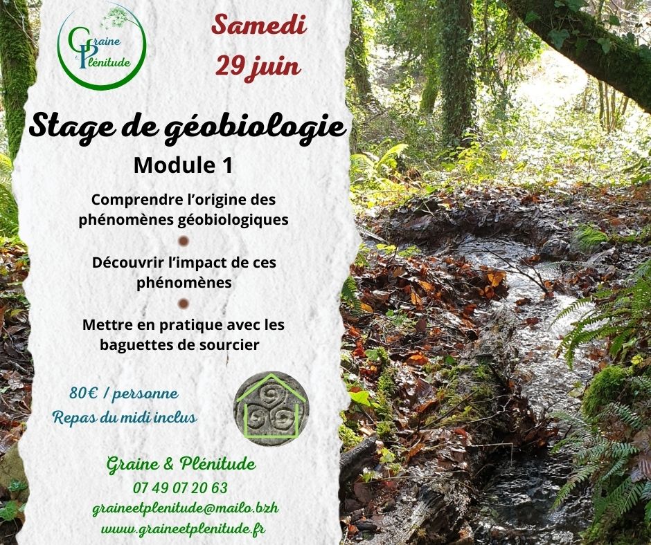 Affiche du stage de géobiologie du 29 juin 2024 à Quistinic